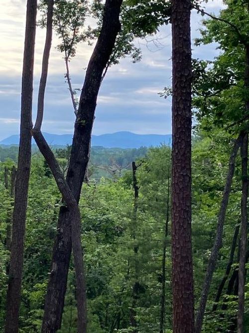 Lot 132 Red Oak Trail, Ellijay, GA, 30540 | Card Image