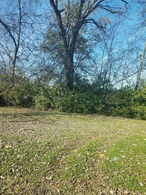 1817 7th Ave N, Nashville, TN, 37208-1603 | Card Image