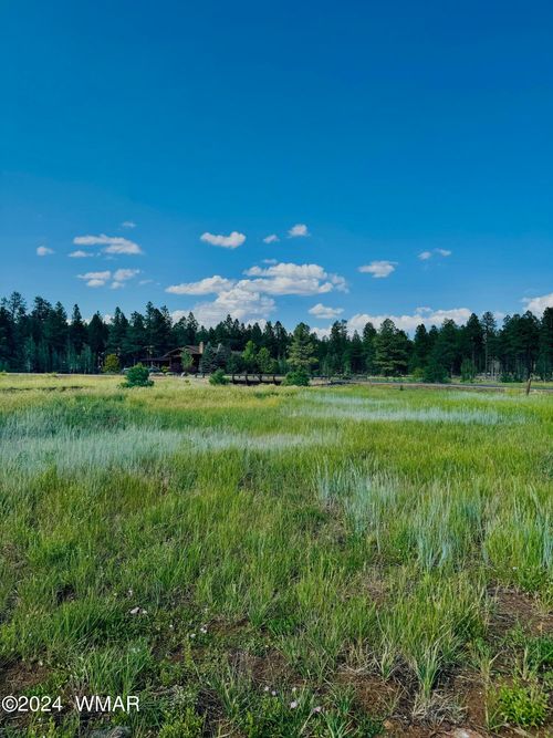 9580 Sierra Springs Drive, Pinetop, AZ, 85935 | Card Image