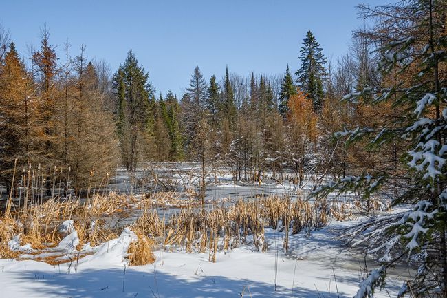 160-acre Pleasant Lake Rd, Home with 0 bedrooms, 0 bathrooms and null parking in Upson WI | Image 38