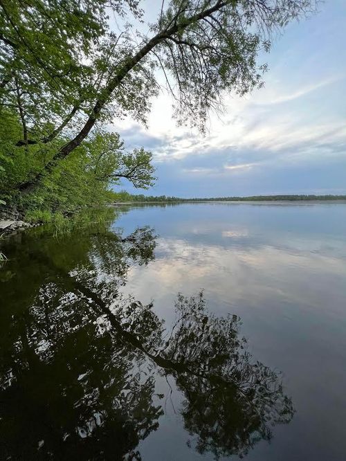 50593 Willow Creek Dr, Henning, MN, 56551-9355 | Card Image