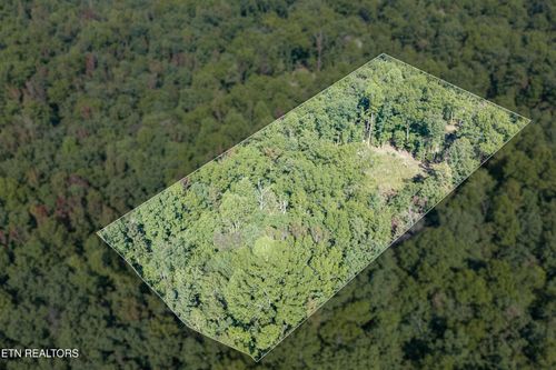 1426 E Overlook Rd, Monterey, TN, 38574-7206 | Card Image