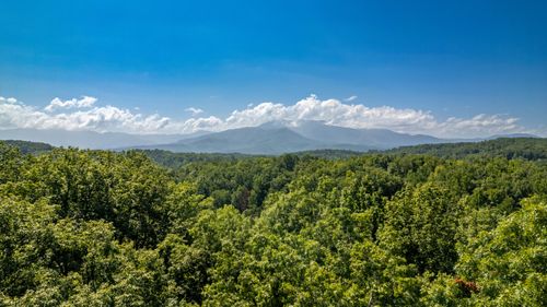 Lot 11 Spring Hill Drive, Sevierville, TN, 37876 | Card Image