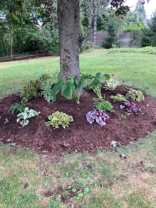 10 Autumn St, Goffstown, NH, 03045-1727 | Card Image