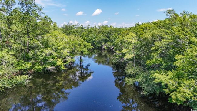 Water view featuring a heavily wooded area | Image 29