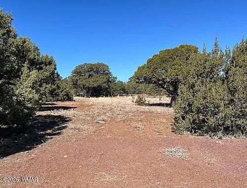 28 N8620 Parcel 107-38-002g, Concho, AZ, 85924 | Card Image
