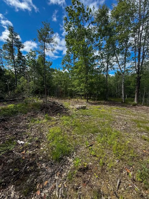 Lot #10 Russell Hill Rd, Bucksport, ME, 04416-4803 | Card Image