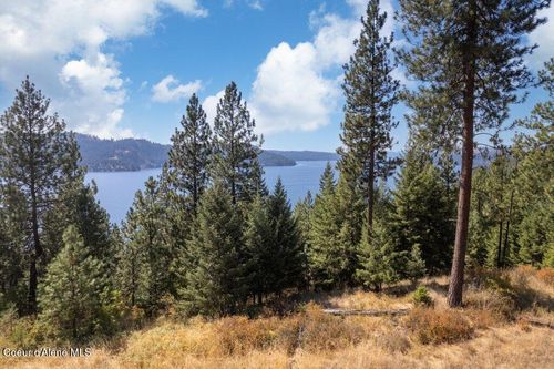 L11 B2 Empty Nest Ln, Harrison, ID, 83833 | Card Image