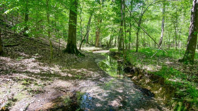 0 Autry Rd Sw, Home with 0 bedrooms, 0 bathrooms and null parking in Plainville GA | Image 5