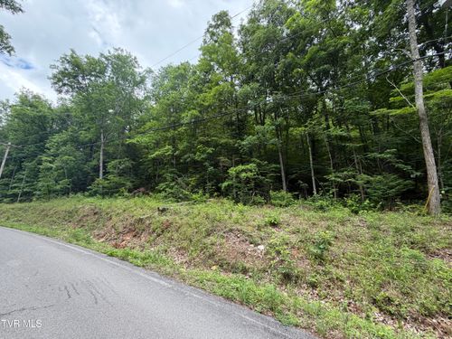 Tbd Alpine Drive, Sevierville, TN, 37876 | Card Image