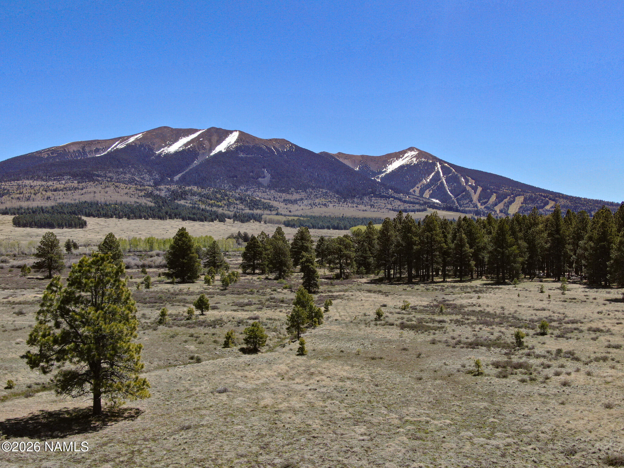 Land in Flagstaff 2