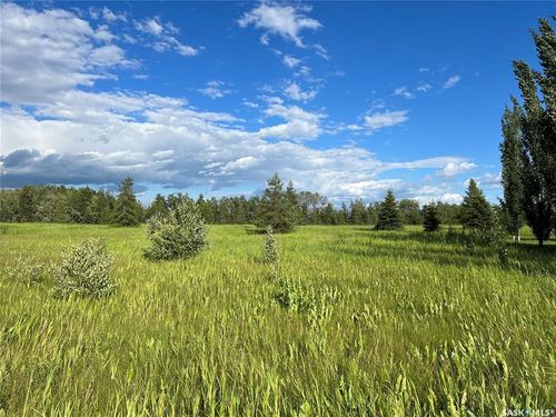 202 Northern Meadows Crescent, Goodsoil, SK, S0M1A0 | Card Image