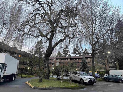 114-7411 Minoru Blvd, Richmond, BC, V6Y1Z3 | Card Image