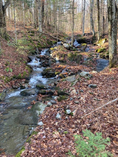 901 Journeys End Rd, Jay, VT, 05859 | Card Image