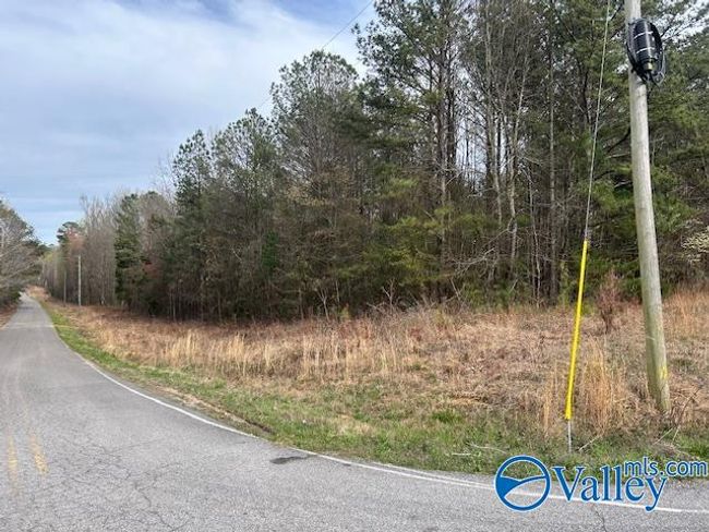 39 Fort Bluff Rd, Home with 0 bedrooms, 0 bathrooms and null parking in Eva AL | Image 4