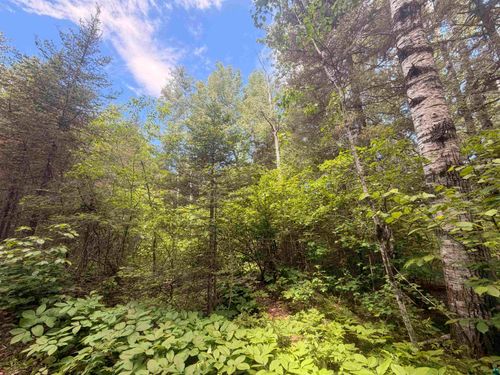 XX Crossover Rd, Hovland, MN, 55606 | Card Image