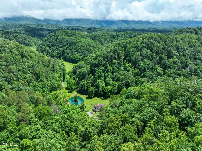 24483 Cave Creek Rd, House other with 5 bedrooms, 3 bathrooms and null parking in Abingdon VA | Image 97