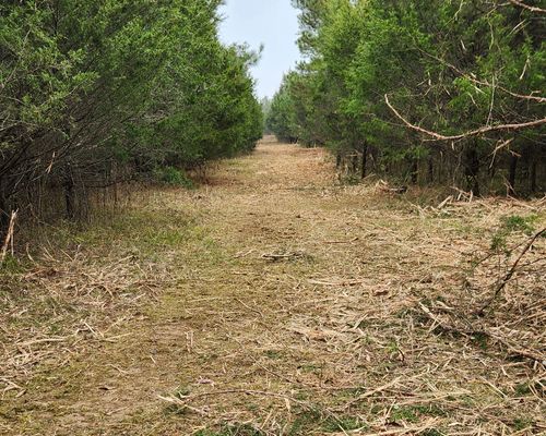 4230 Peytonsville Trinity Rd, Franklin, TN, 37064-7717 | Card Image