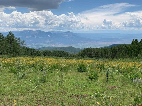 34681 Forest Road 128.G, Hotchkiss, CO, 81419 | Card Image