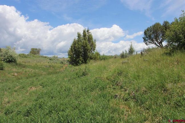 14433 2600 Rd, Home with 0 bedrooms, 0 bathrooms and null parking in Cedaredge CO | Image 31