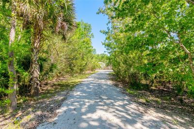 227 N Putnam Grove Road, House other with 5 bedrooms, 3 bathrooms and null parking in Oak Hill FL | Image 2