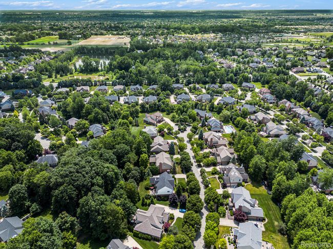 Aerial View | Image 69