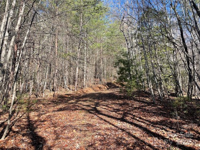 0000 Pine Log Rd, Home with 0 bedrooms, 0 bathrooms and null parking in Warne NC | Image 10