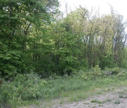 0 Moore Dr, Allegan, MI, 49010 | Card Image