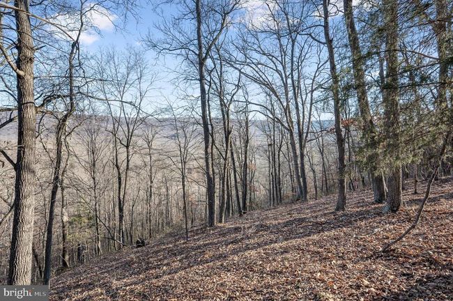 LOT 4 Back Creek Rd, Home with 0 bedrooms, 0 bathrooms and null parking in GORE VA | Image 11