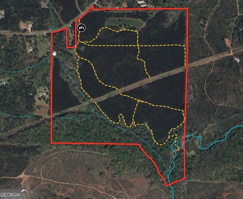 180.14 AC Johnson Mill Rd, Hamilton, GA, 31811 | Card Image