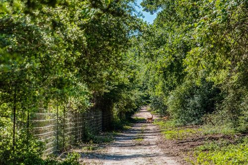 511 Lcr 793, Groesbeck, TX, 76642-2245 | Card Image