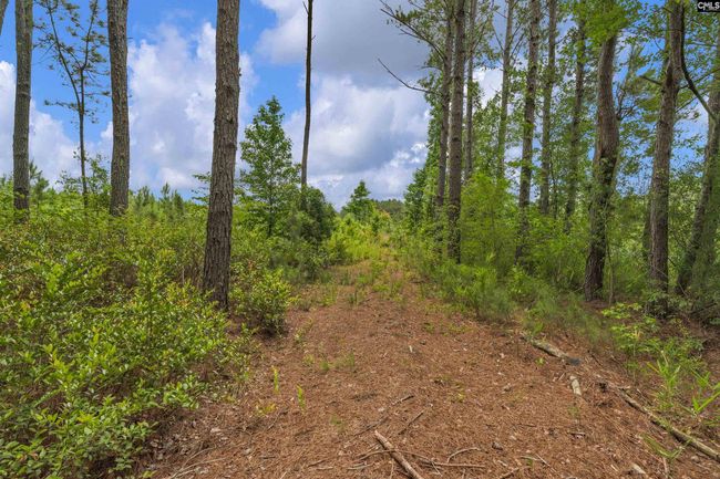 0000 N Brewington Rd, Home with 0 bedrooms, 0 bathrooms and null parking in Manning SC | Image 54