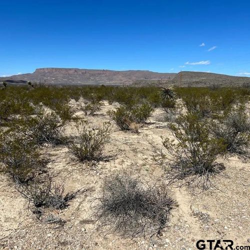 31466 Ringtail South Tract, Terlingua, TX, 79852 | Card Image