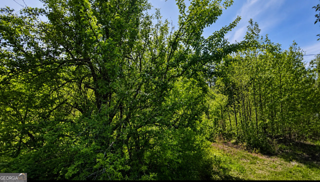 Land in Meansville 4
