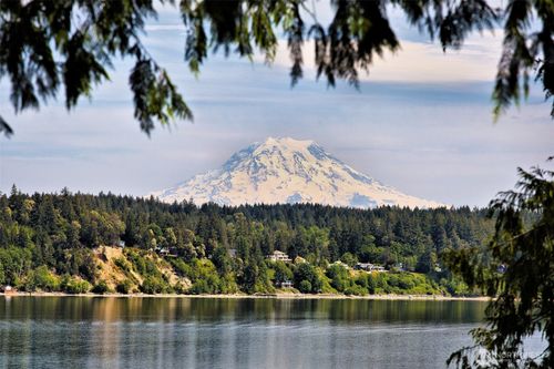 187 E Vineyard Crest Rd, Grapeview, WA, 98546-9633 | Card Image