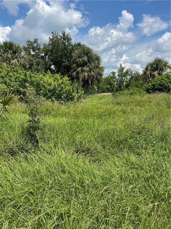 Land in PORT CHARLOTTE 2