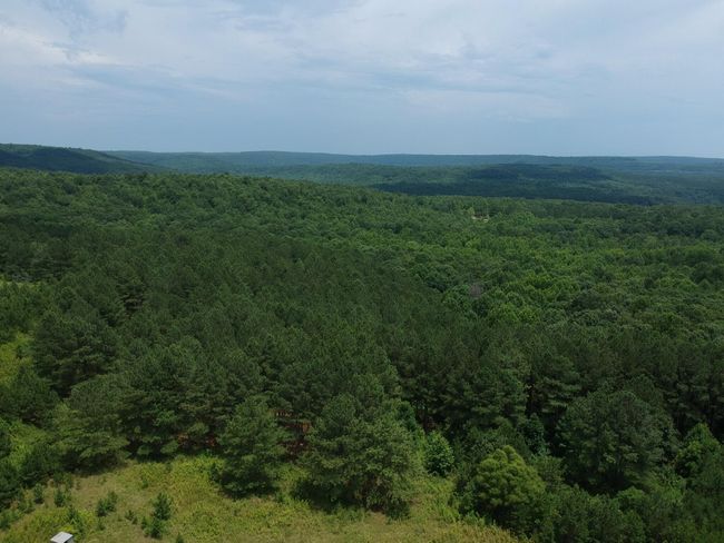 5199 Burkett Chapel Rd, Home with 4 bedrooms, 2 bathrooms and null parking in Whitwell TN | Image 24