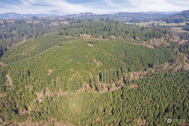 0 Ne Cedar Mist Rd, Home with 0 bedrooms, 0 bathrooms and null parking in AMBOY WA | Image 6