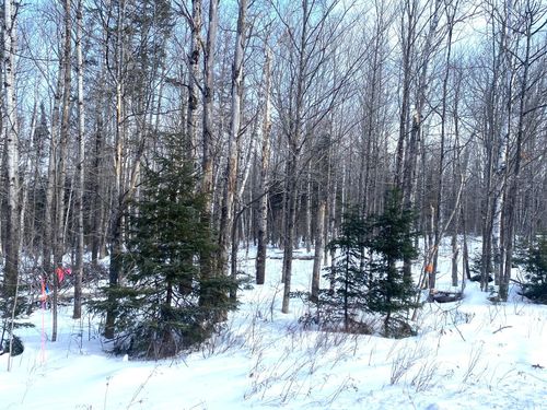lot-3-47 Greenville Road, Shirley, ME, 04485 | Card Image