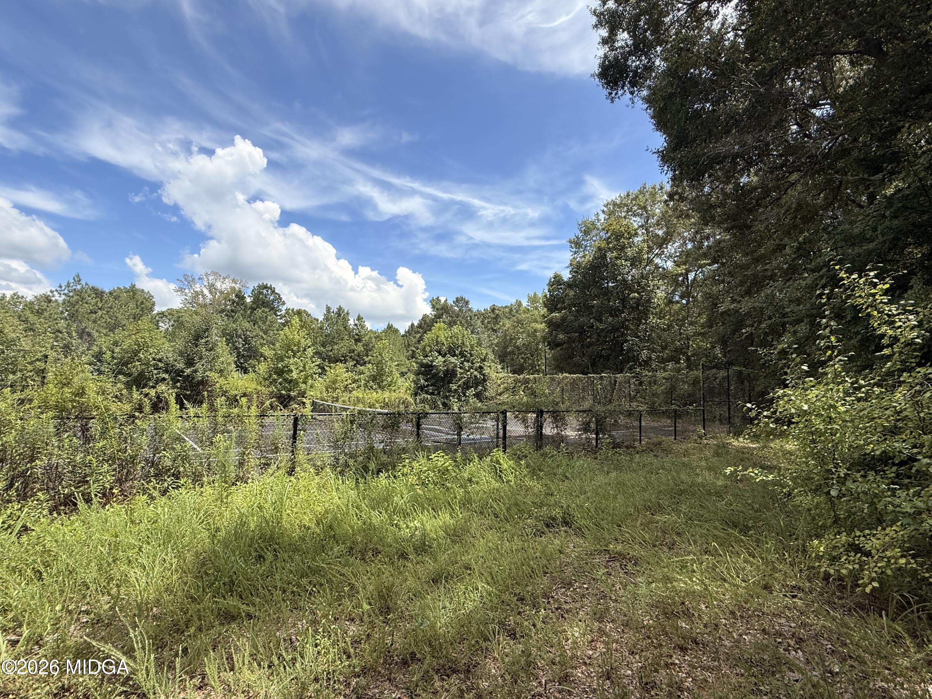 Land in Macon 4