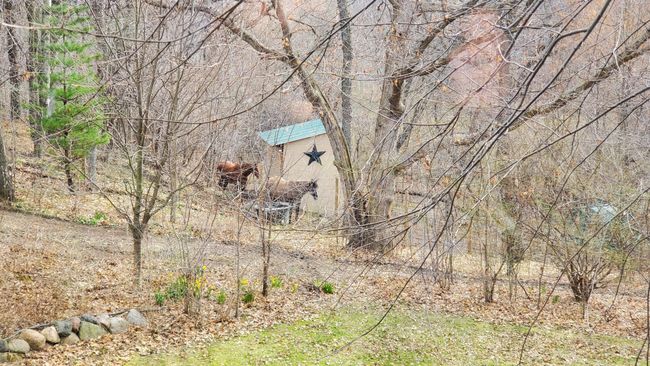 View of the paddock from the back yard. Shown in spring with two horses in residence. Property is 5 minutes from Lebanon Hills Regional Park with miles of wooded horse trails. | Image 78