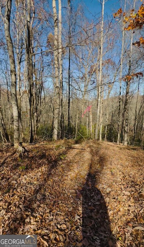 0 Gove Rd, Sautee Nacoochee, GA, 30571 | Card Image