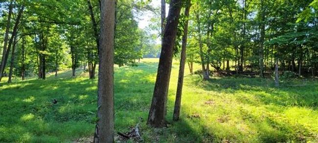20220620_081651 | Image 26
