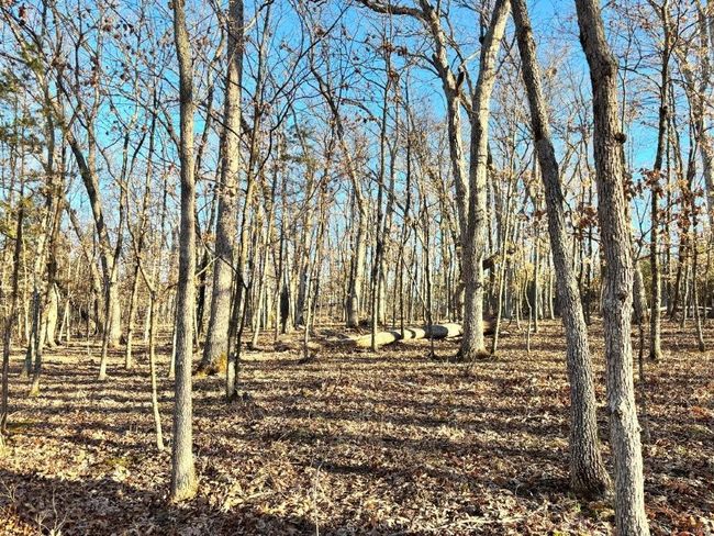 View of landscape | Image 13