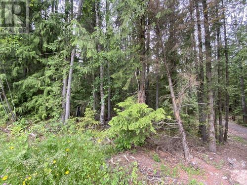 LOT 12 Laurier St, New Hazelton, BC, V0J | Card Image
