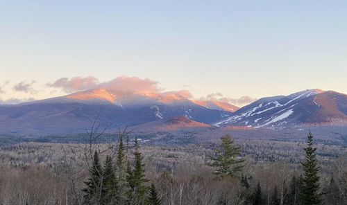 359 Bickford Hill Rd, Franconia, NH, 03580-4844 | Card Image