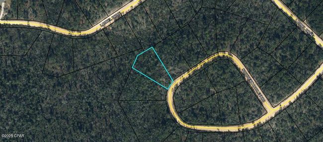 Lot 27 Southern Blvd, Home with 0 bedrooms, 0 bathrooms and null parking in Alford FL | Image 4