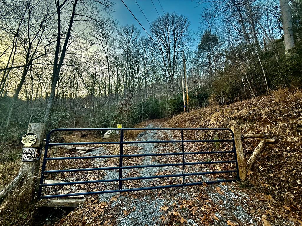 Land in Franklin 4