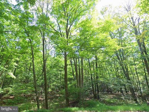 00 Juniata Valley, Hollidaysburg, PA, 16648 | Card Image