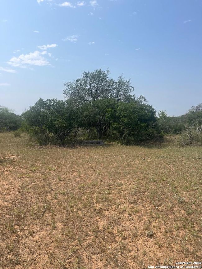 00 Jay Dr, Home with 0 bedrooms, 0 bathrooms and null parking in Devine TX | Image 4